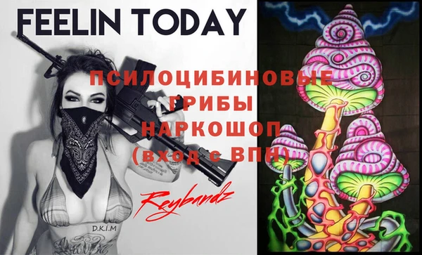 марки lsd Абаза
