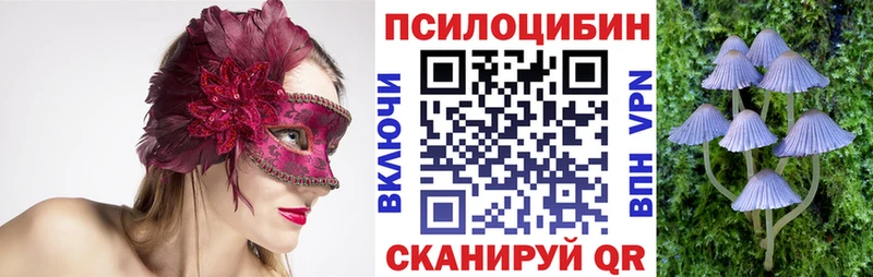 Псилоцибиновые грибы Psilocybine cubensis  Слюдянка 